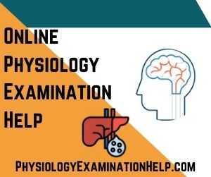 Online Physiology Examination Help